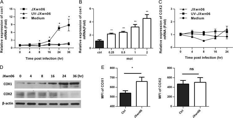 FIG 2