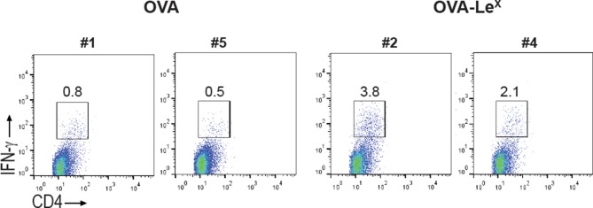 Figure 3—figure supplement 2.