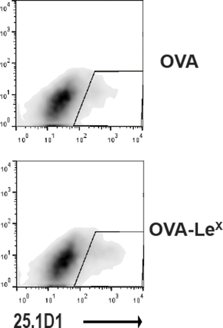 Figure 4—figure supplement 3.