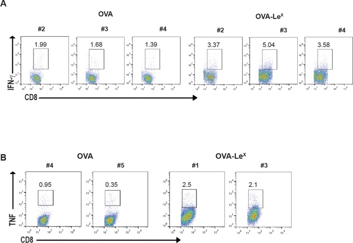 Figure 2—figure supplement 1.