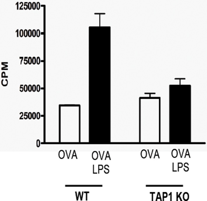 Figure 4—figure supplement 4.