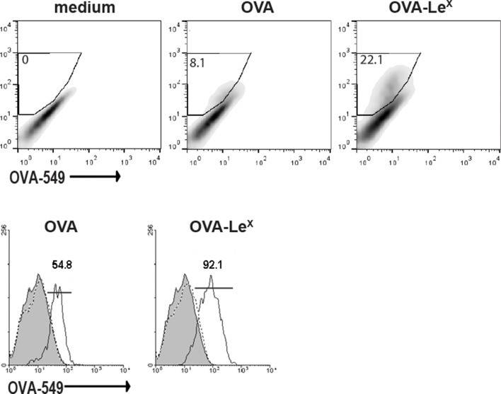 Figure 4—figure supplement 1.