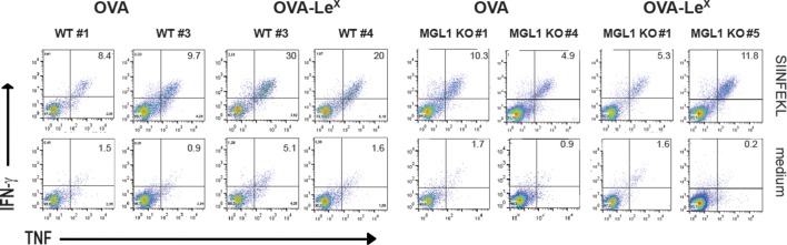 Figure 2—figure supplement 2.