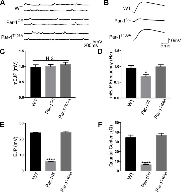 Fig 5