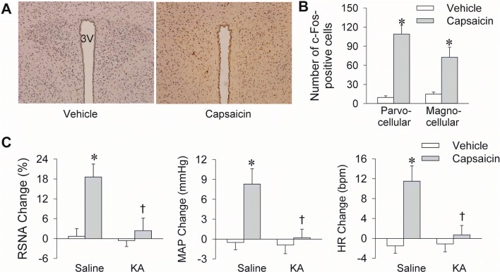 Fig. 7