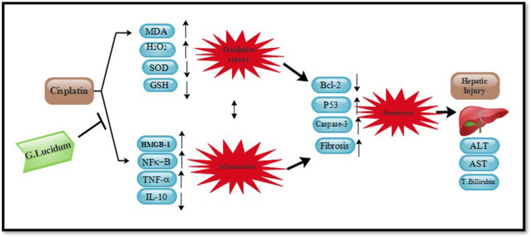 Figure 15