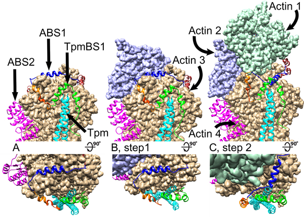 Figure 5.