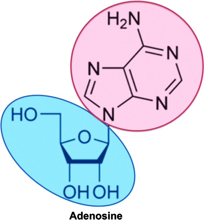 FIG. 2.