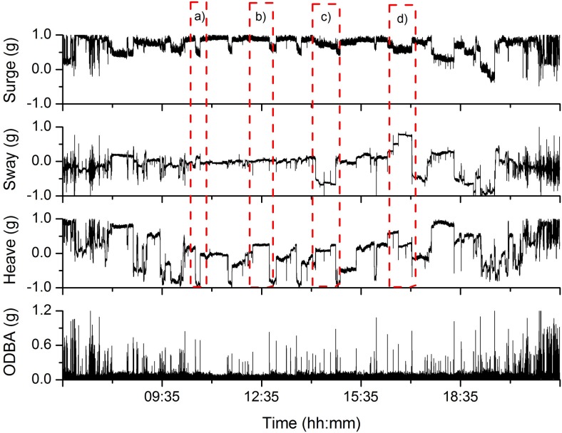 Fig 6