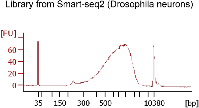 Figure 5