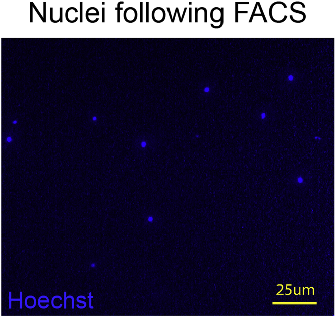 Figure 3