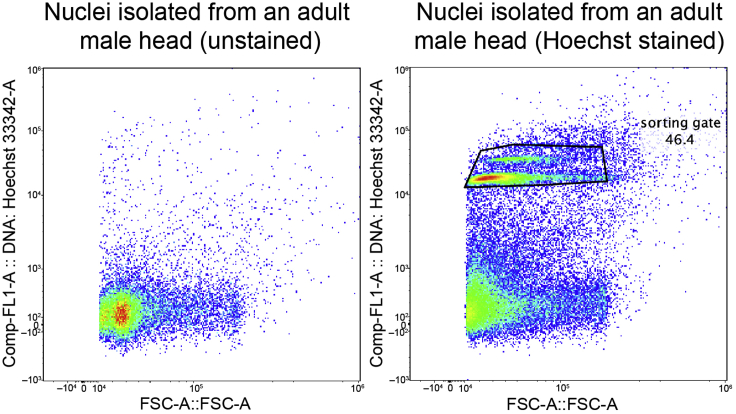 Figure 2