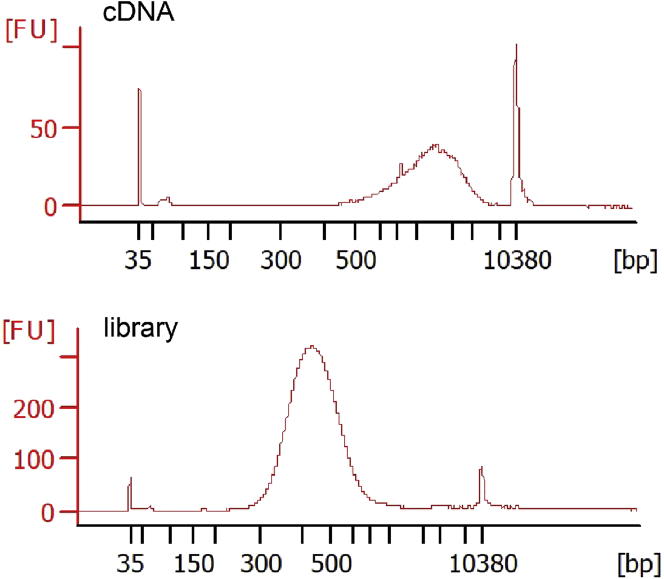 Figure 4