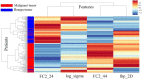 Supplementary Figure S2.