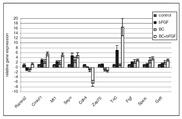 Figure 5)