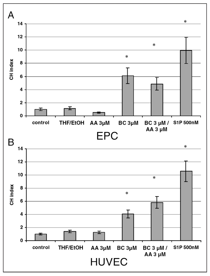 Figure 2)