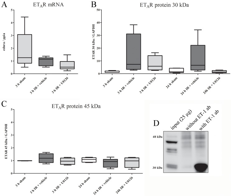 Fig 5