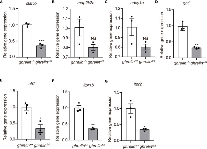 Figure 4