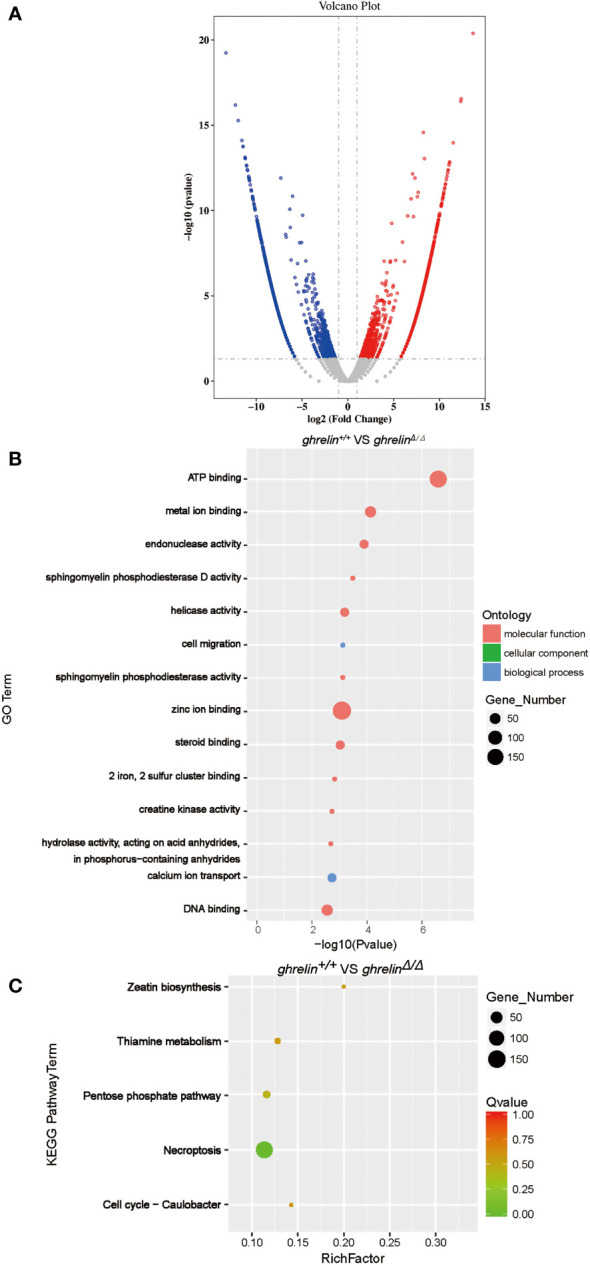 Figure 2