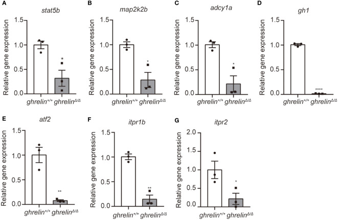 Figure 3