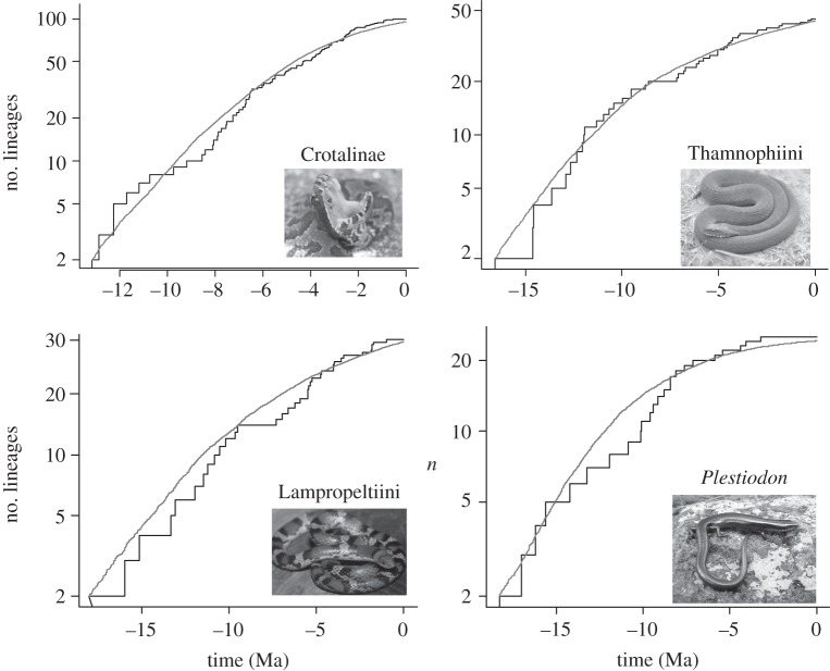 Figure 2.