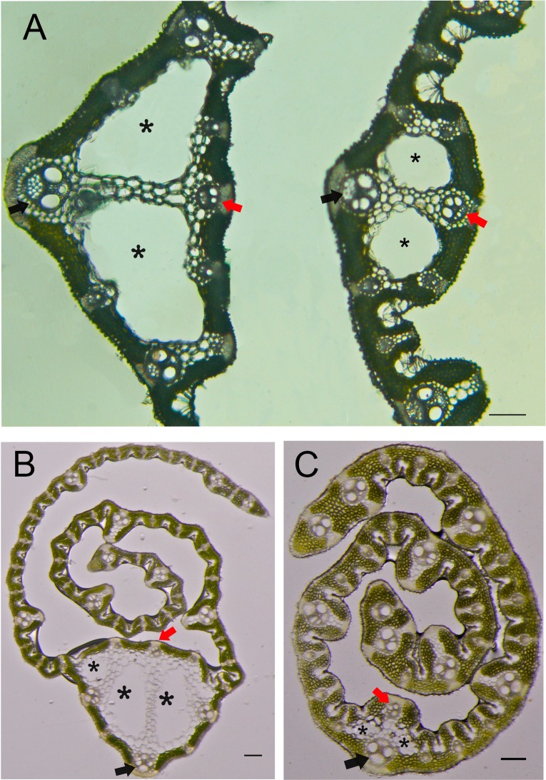 Fig 5