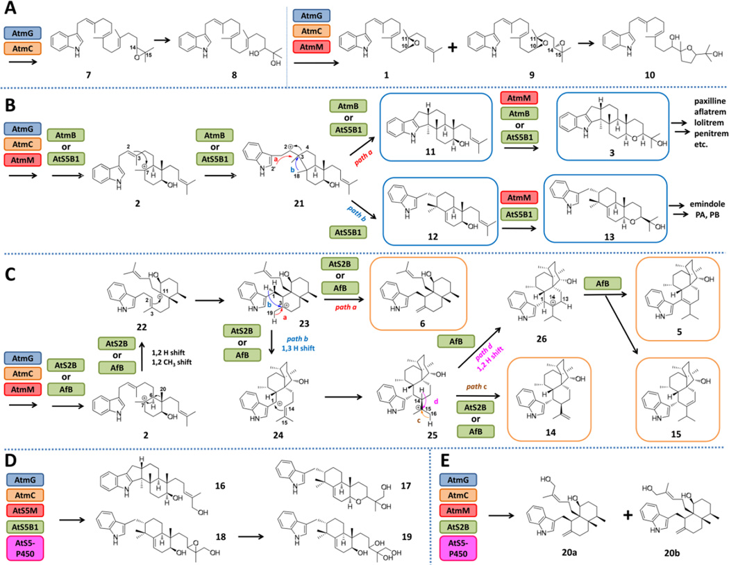 Figure 4