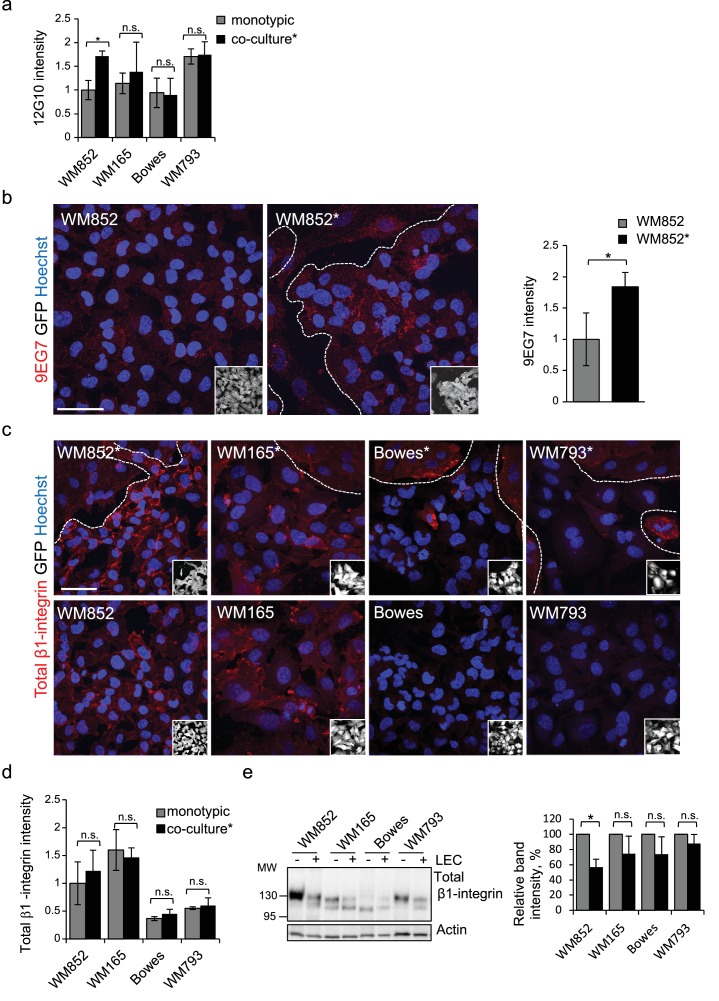 Figure 5—figure supplement 1.