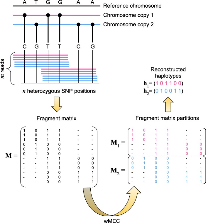 Fig. 1