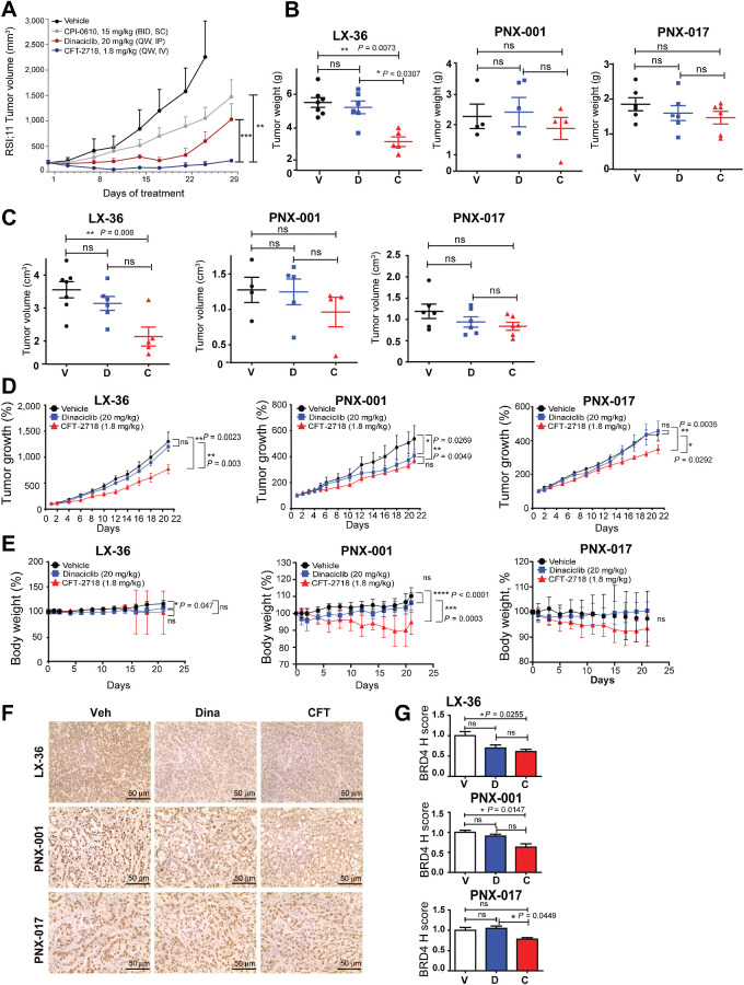 Figure 3. Comparison of CFT-2718 and dinaciclib in control of PDX tumor growth in vivo. A, Female CB17 SCID mice bearing RS4;11 human tumor xenografts were treated with vehicle, CIP-0610 (15 mg/kg, twice a day), dinaciclib (20 mg/kg, once weekly), or CFT-2718 (1.8 mg/kg, once weekly), and tumor growth monitored by palpation. Bars represent SEM. **, P <0.01; ***, P < 0.001, based on two-way ANOVA analysis. B–D, Mice bearing established PDX tumors were treated once weekly for 3 weeks (days 0, 7, and 14) with vehicle (V), dinaciclib (D), or CFT-2718 (C). Tumor weight (B), tumor volume (C), and tumor growth (D) are indicated. Tumor growth for each mouse was normalized to day 1 tumor volume. E, Change in body weight in mice treated with CFT-2718 (1.8 mg/kg), dinaciclib (20 mg/kg), or vehicle on days 0, 7, and 14. F and G, IHC staining of excised tumor tissue for expression of BRD4, 3 hours after final dose; representative images (F) and quantification of H score (G). For all graphs, ns, not significant; *, P < 0.05; **, P < 0.01; and ***, P < 0.001 and ****, P < 0.0001 relative to controls.