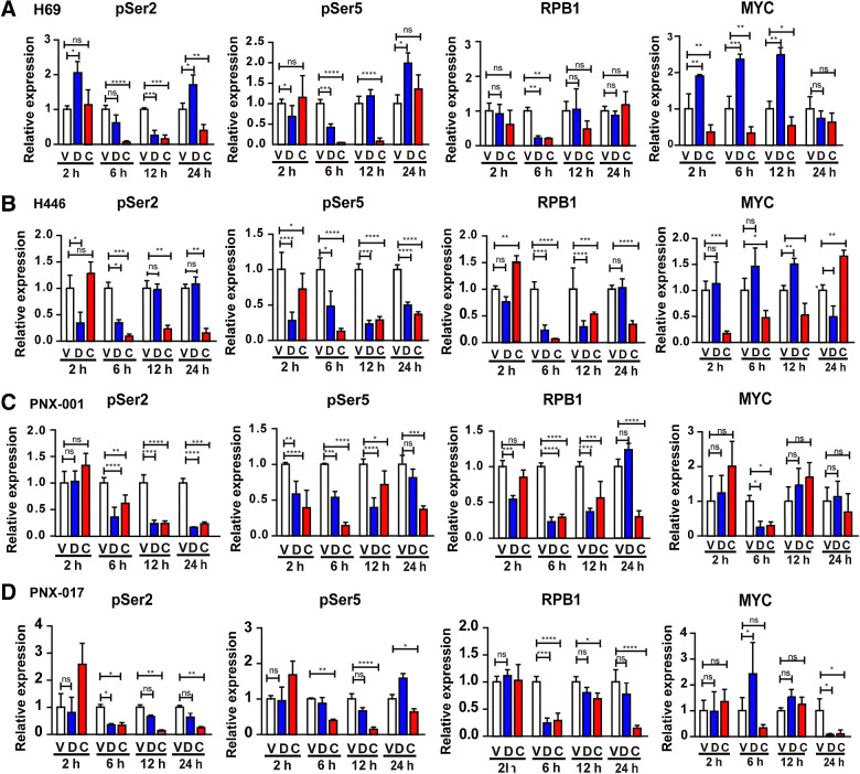 Figure 5. Comparison of CFT-2718 and dinaciclib inhibition of RNA polymerase II. The H69, H446, PNX-001, and PNX-017 cell lines were treated with10 nmol/L CFT-2718 (C), 10 nmol/L dinaciclib (D), or vehicle (V), for times indicated. A–D are quantification of phosphorylated Ser2 (pSer2), phosphorylated Ser 5 (pSer5), RPB1, and Myc expression in H69 (A), H446 (B), PNX-001 (C), and PNX-017 (D) cells. Expression of each protein is normalized to vehicle-treated lanes. All experiments were performed >3 times; representative Western blots are shown in Supplementary Fig. S4. ns, not significant; *, P < 0.05; **, P < 0.01; ***, P < 0.001; and ****, P < 0.0001 relative to vehicle.