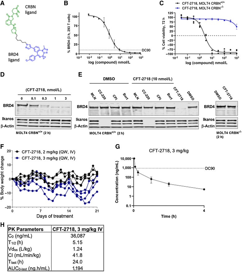 Figure 1. Selection of CFT-2718 based on selectivity and rapidity of BRD4 degradation, and rapid turnover pharmacokinetic profile. A, Chemical structure of CFT-2718. B, HiBiT-detection of BRD4 in cell lysate 3 hours after addition of indicated concentrations of CFT-2718 (compound) to 293T cells with endogenously tagged BRD4. Bars represent SD. DC90, 10 nmol/L. C, Viability changes 72 hours after addition of CFT-2718 at indicated concentrations in MOLT4 parental (CRBN+/+) or MOLT4 CRBN−/− cells, assessed by CellTiter Glo. Bars represent SD. D, Western blot indicates dose-dependent degradation of BRD4 by CFT-2718 in MOLT4 cells 2 hours after addition of 10 nmol/L CFT-2718. E, BRD4 degradation 2 hours after addition of 10 nmol/L CFT-2718 (+) alone or with simultaneous addition of 10 μmol/L of the Neddylation inhibitor MLN4924 (ML), the cereblon inhibitor CC-220 (CC), the BET inhibitor CPI-203 (CP), or the proteasome inhibitor bortezomib (BO) to MOLT4 CRBN+/+ or MOLT4 CRBN−/− cells. Actin was used as a loading control for D and E; Ikaros is a control for CFT-2718 specificity. F, Body weight of mice from 3-week tolerability study in naïve female BALB/c nude mice (N = 4/group) dosed intravenously with 2 or 3 mg/kg CFT-2718. Bars represent SEM. G, Plasma concentration of CFT-2718 following a single 3 mg/kg intravenous dose. N = 3; bars represent SD. H, Pharmacokinetic parameters for mice treated as in G, calculated using Phoenix WinNonlin 6.3, IV-Noncompartmental model 201 (i.v. bolus input).