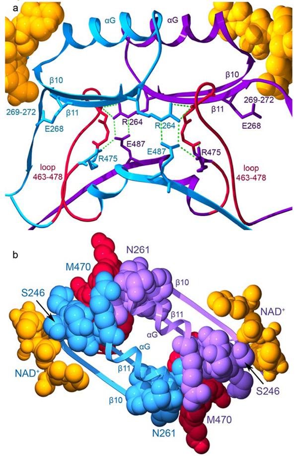 Figure 9