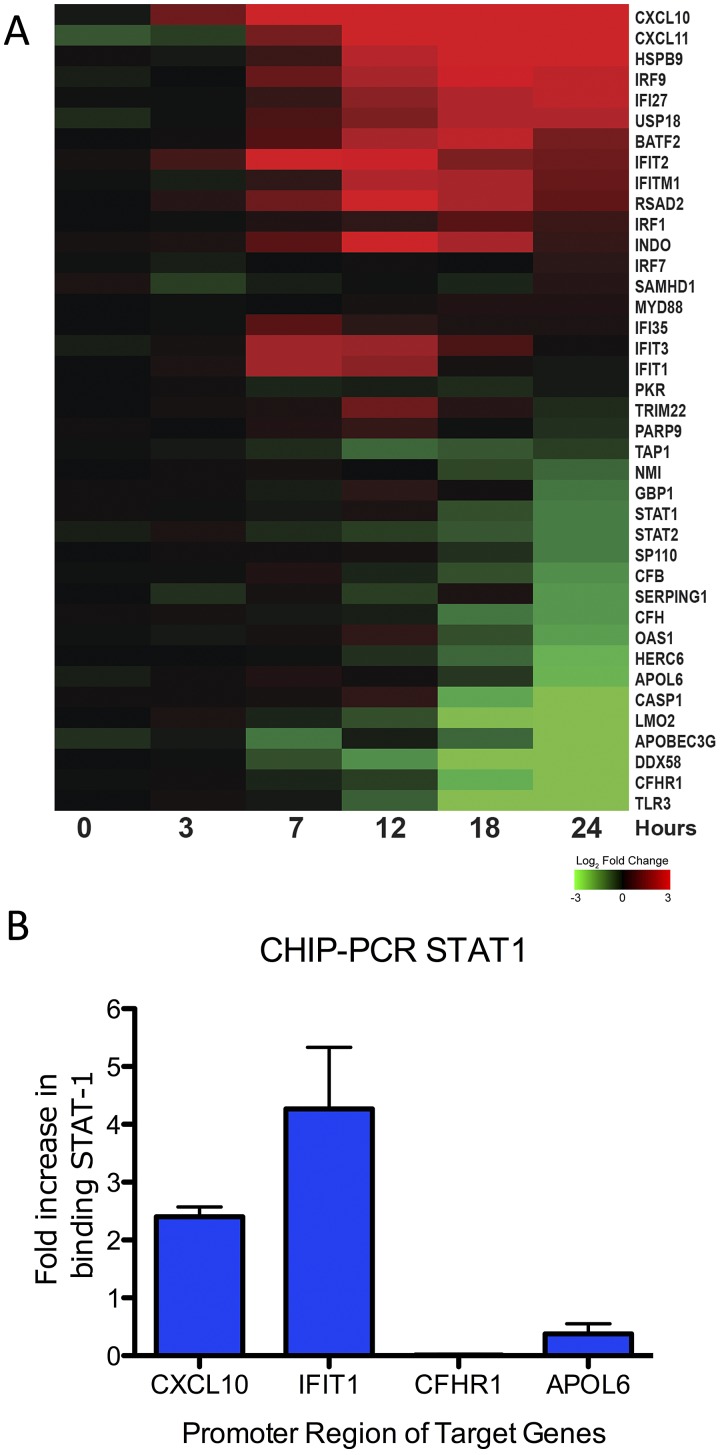 FIG 3 