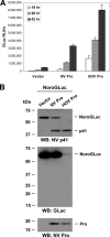FIG 8