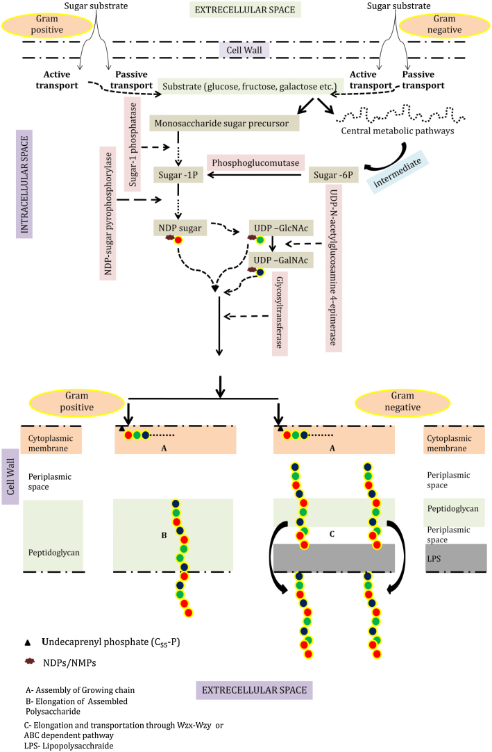 Fig 1