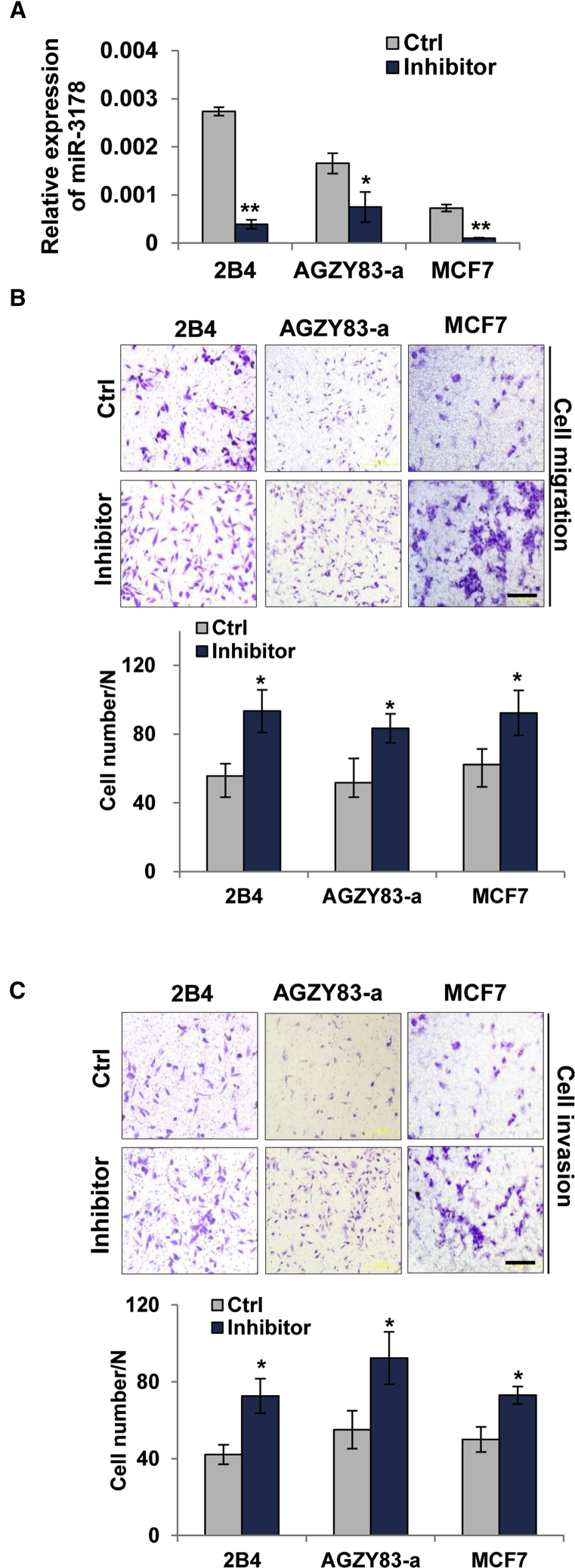 Figure 4