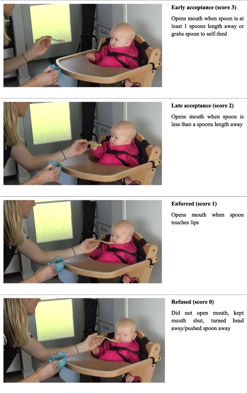 Fig. 4