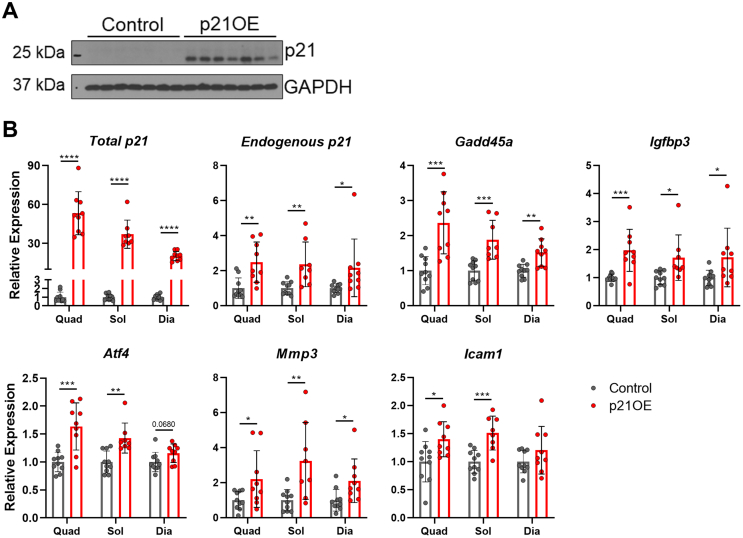 Figure 4