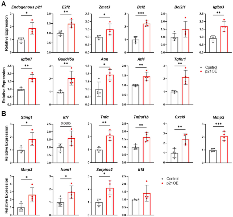 Figure 2