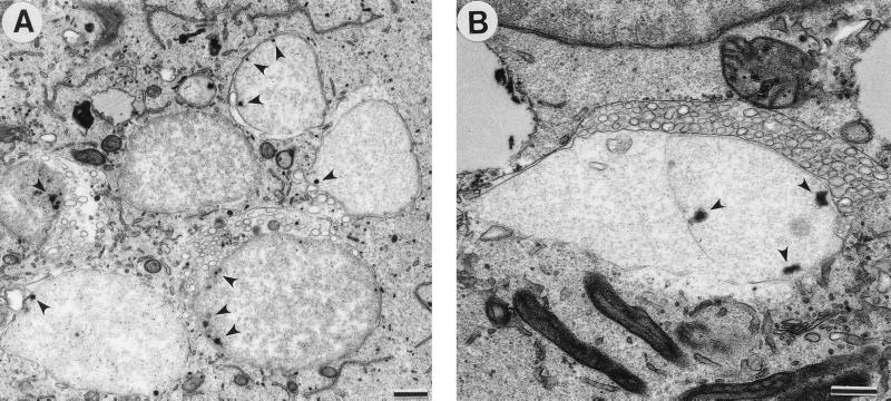 FIG. 6