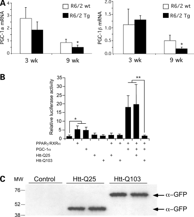 Figure 6.