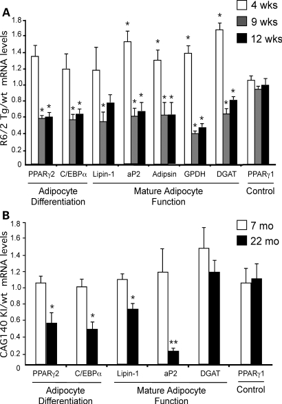 Figure 4.