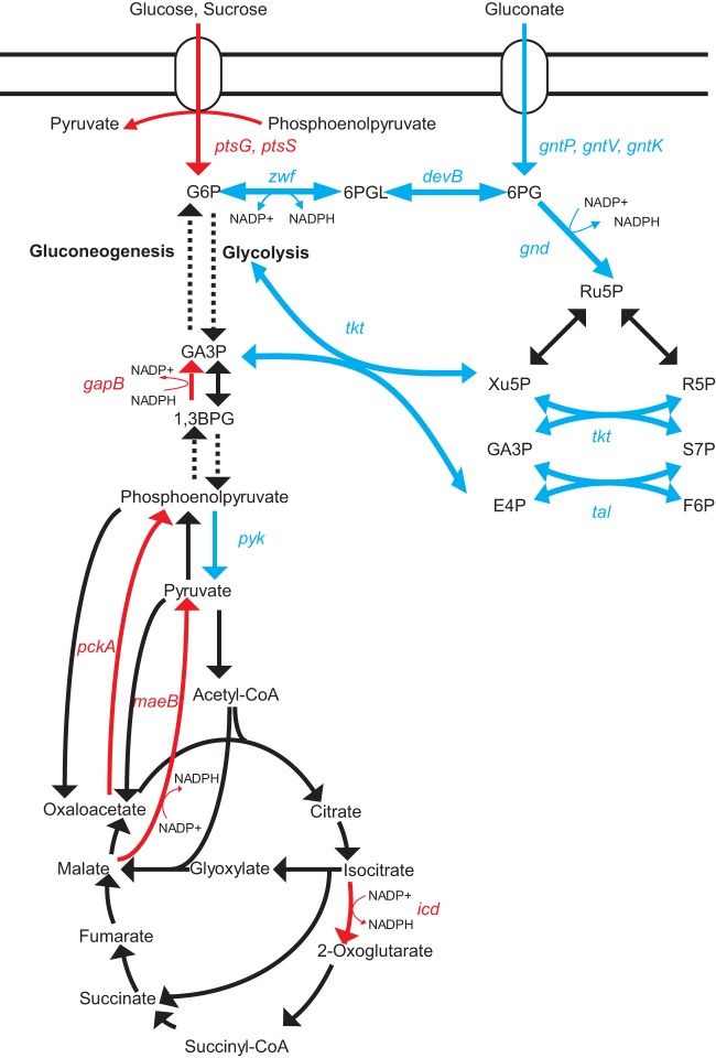 FIG 4