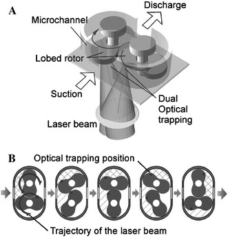 Fig. 6