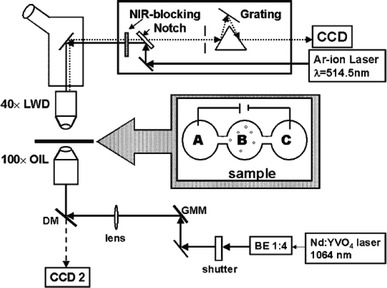 Fig. 2