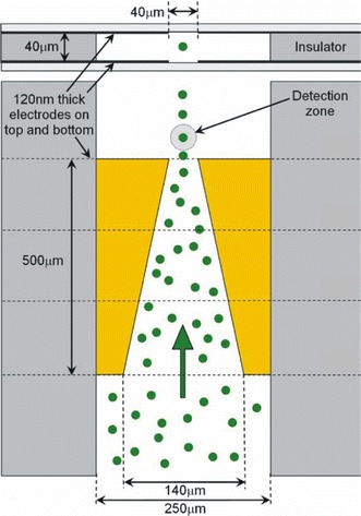 Fig. 10