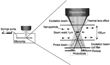 Fig. 20