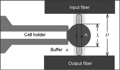 Fig. 17