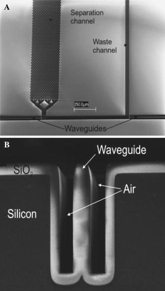 Fig. 8